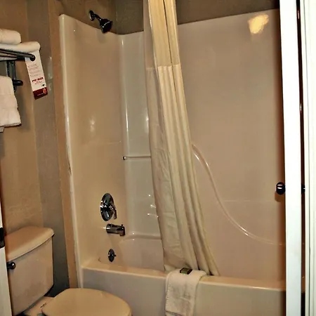 Super 8 By Wyndham San Antonio At I-10 Motel Room photo