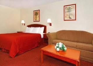 Motel Super 8 By Wyndham At I-10 2*
